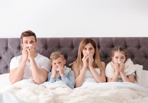 Got Allergies or Pets? 20x20x2 Air Filters Can Help